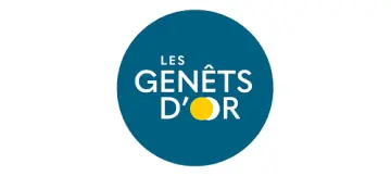 Diversite Coiffure Coiffeuse A Domicile Specialisee A Morlaix Les Genets DOr Diversite Coiffure Coiffeuse A Domicile Specialisee A Morlaix Les Genets DOr